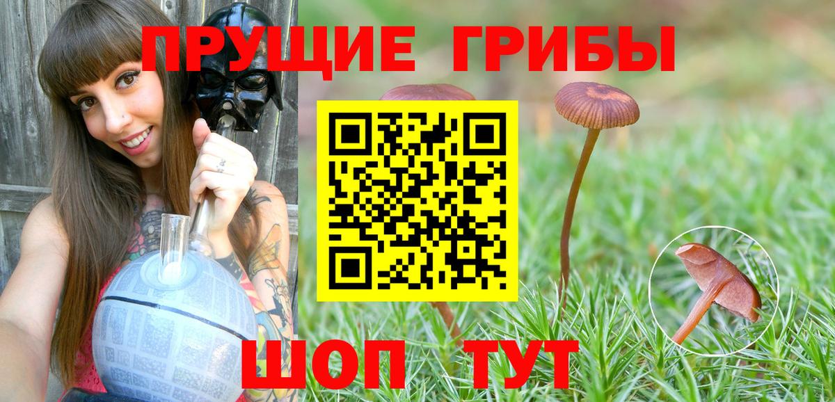 Галлюциногенные грибы мухоморы Воскресенск